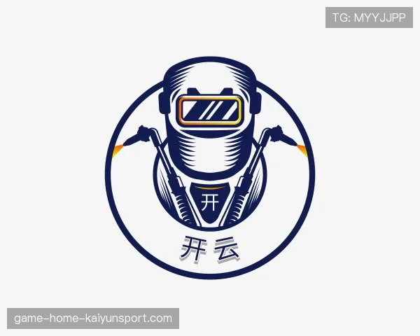 介绍开云世界杯